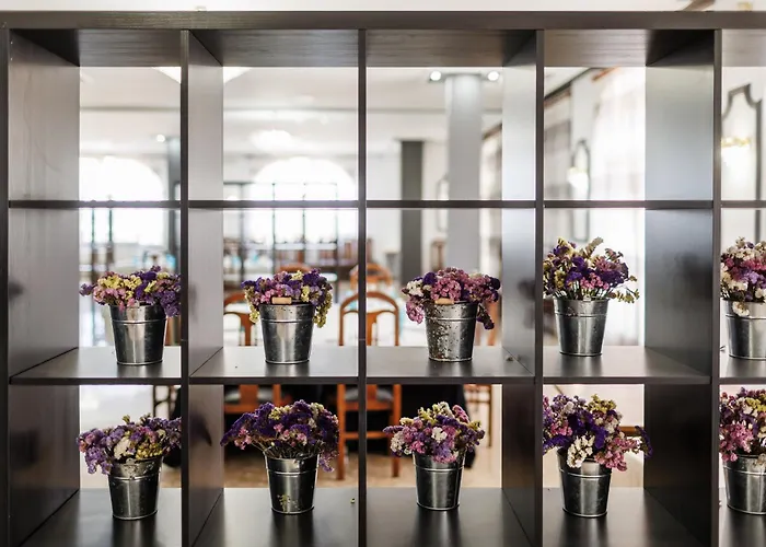 Hotel Acosta Vetonia